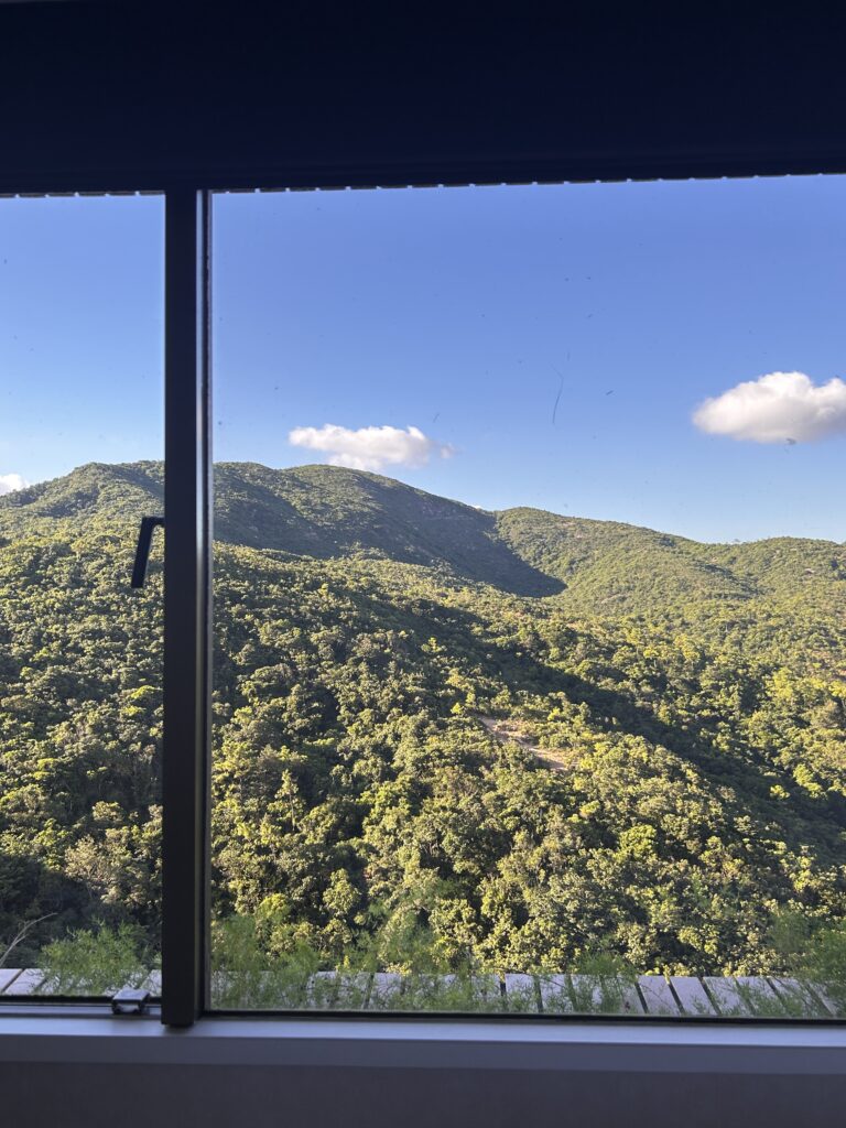 View from my room
